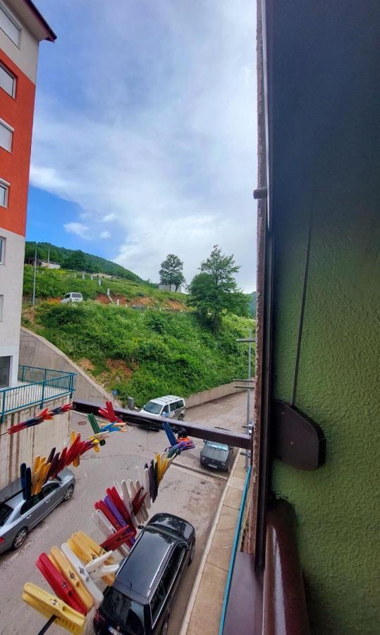 Apartman Pavle Plužine Ngoại thất bức ảnh
