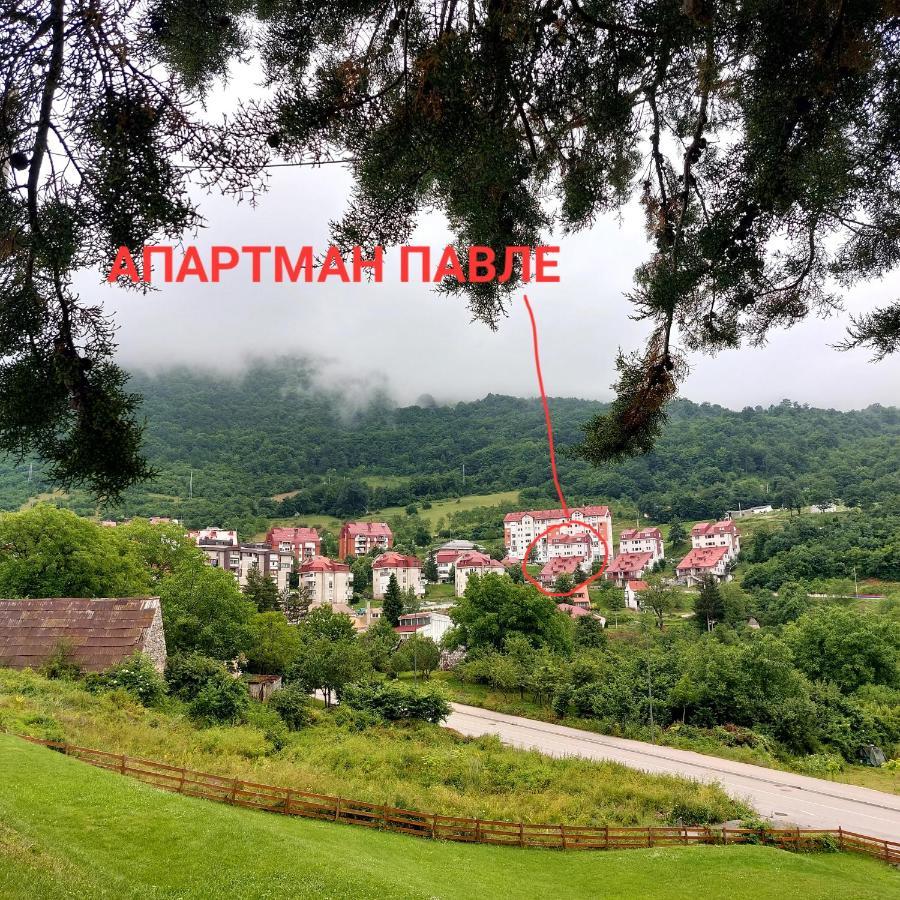 Apartman Pavle Plužine Ngoại thất bức ảnh
