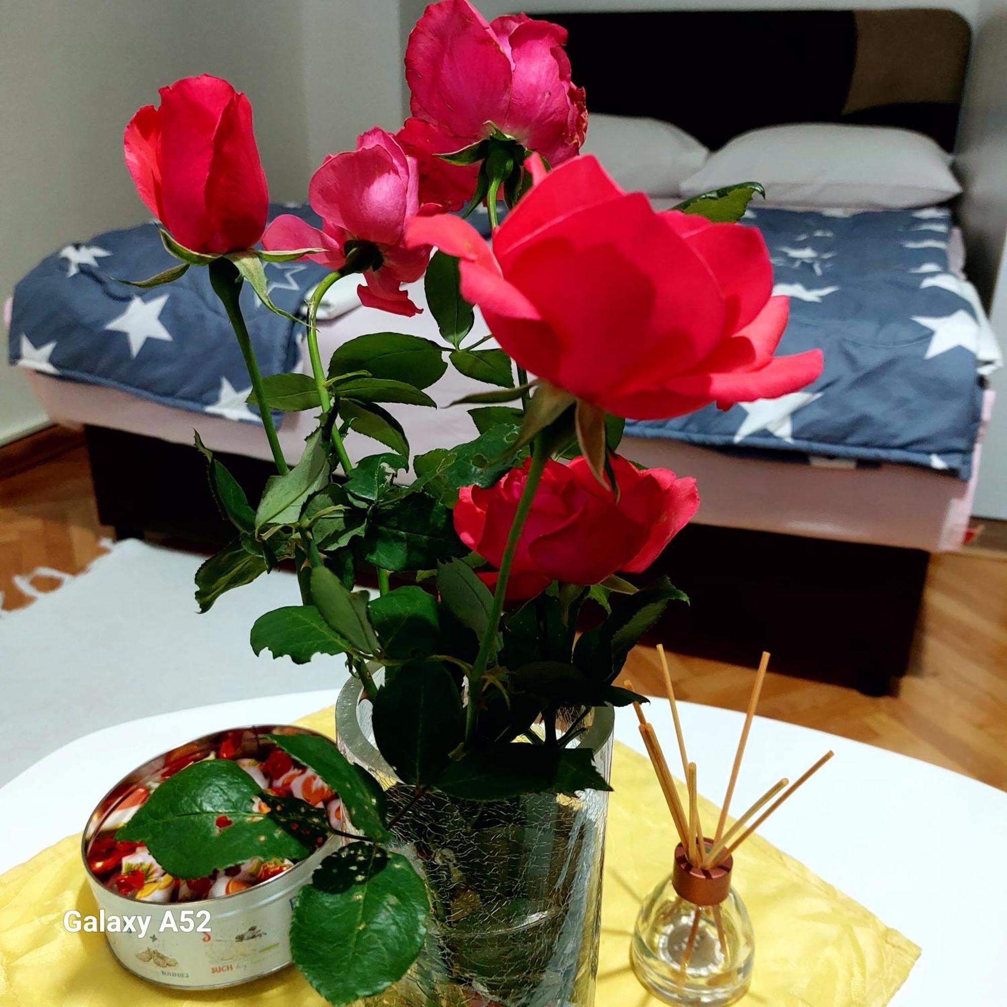 Apartman Pavle Plužine Ngoại thất bức ảnh