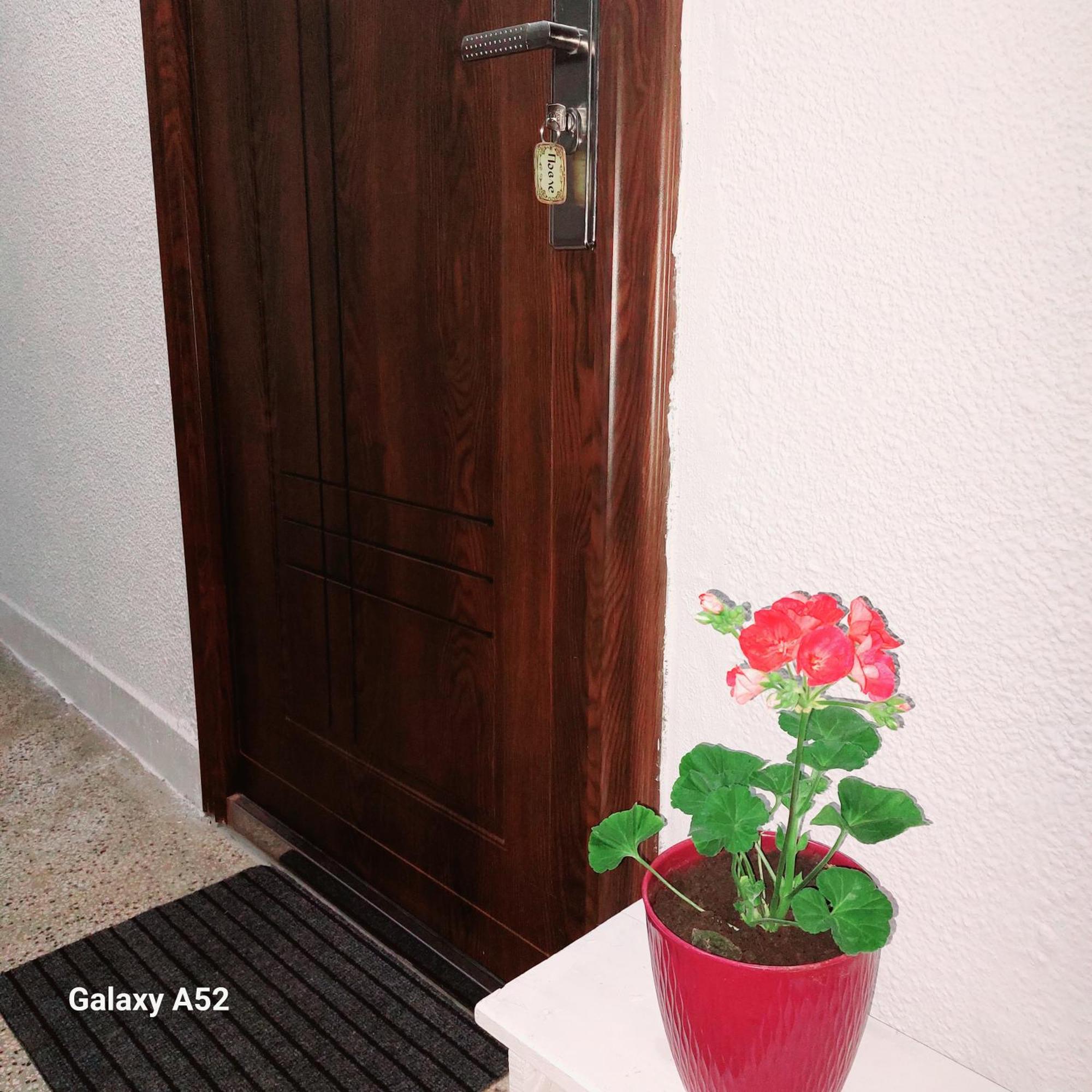 Apartman Pavle Plužine Ngoại thất bức ảnh