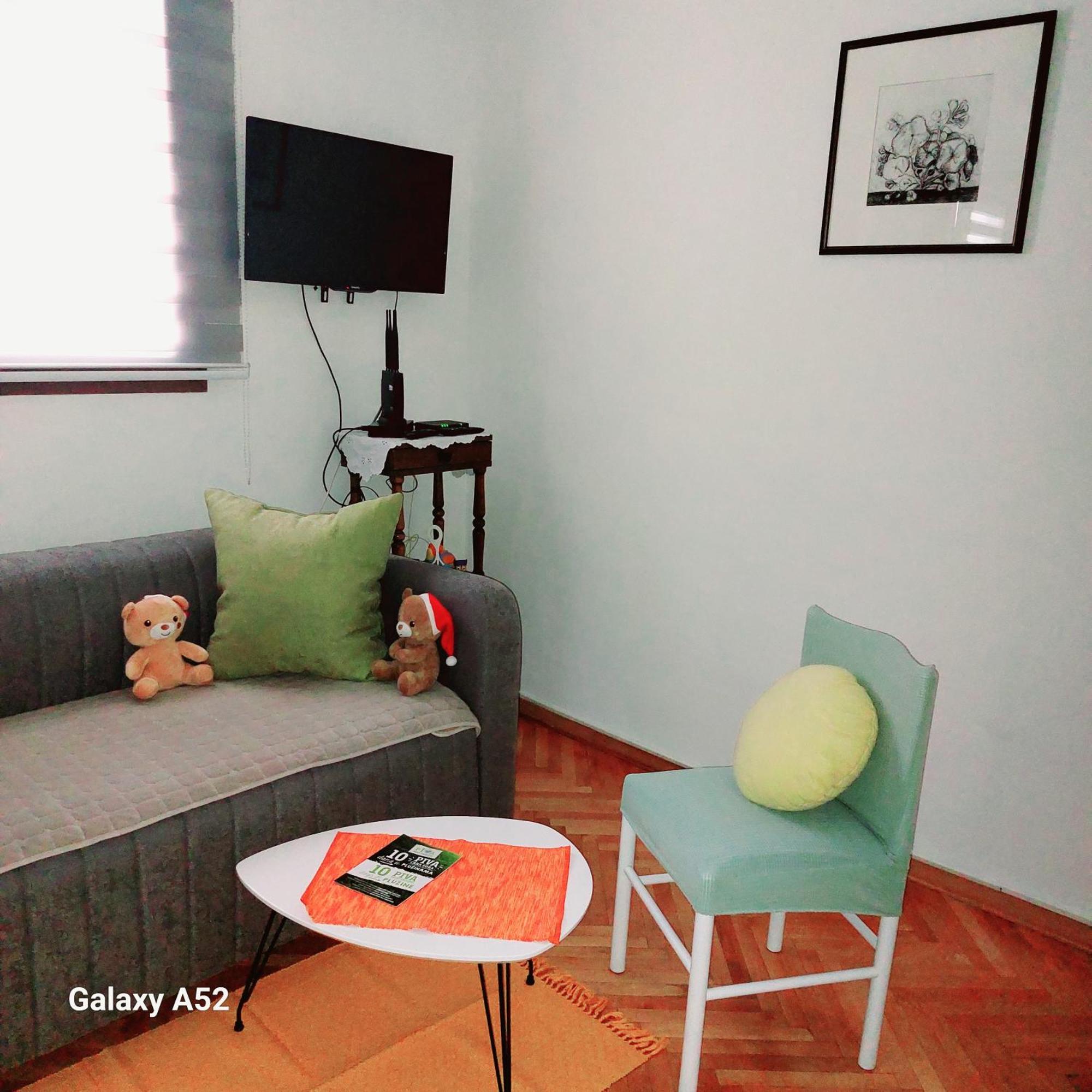 Apartman Pavle Plužine Ngoại thất bức ảnh