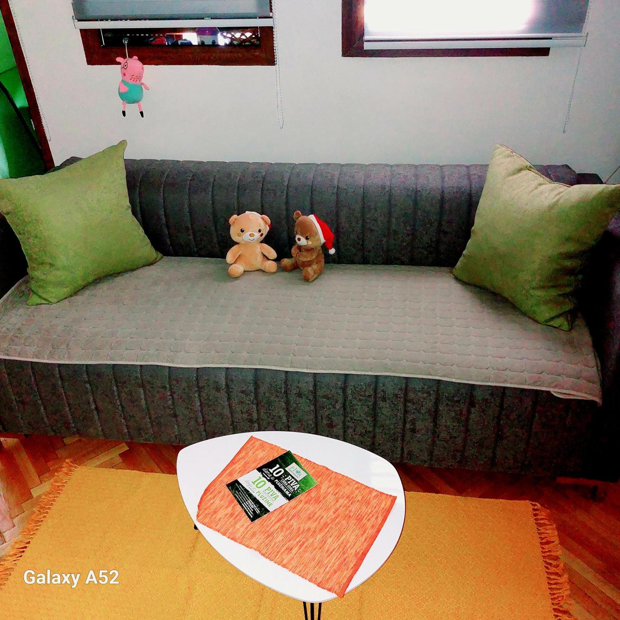 Apartman Pavle Plužine Ngoại thất bức ảnh